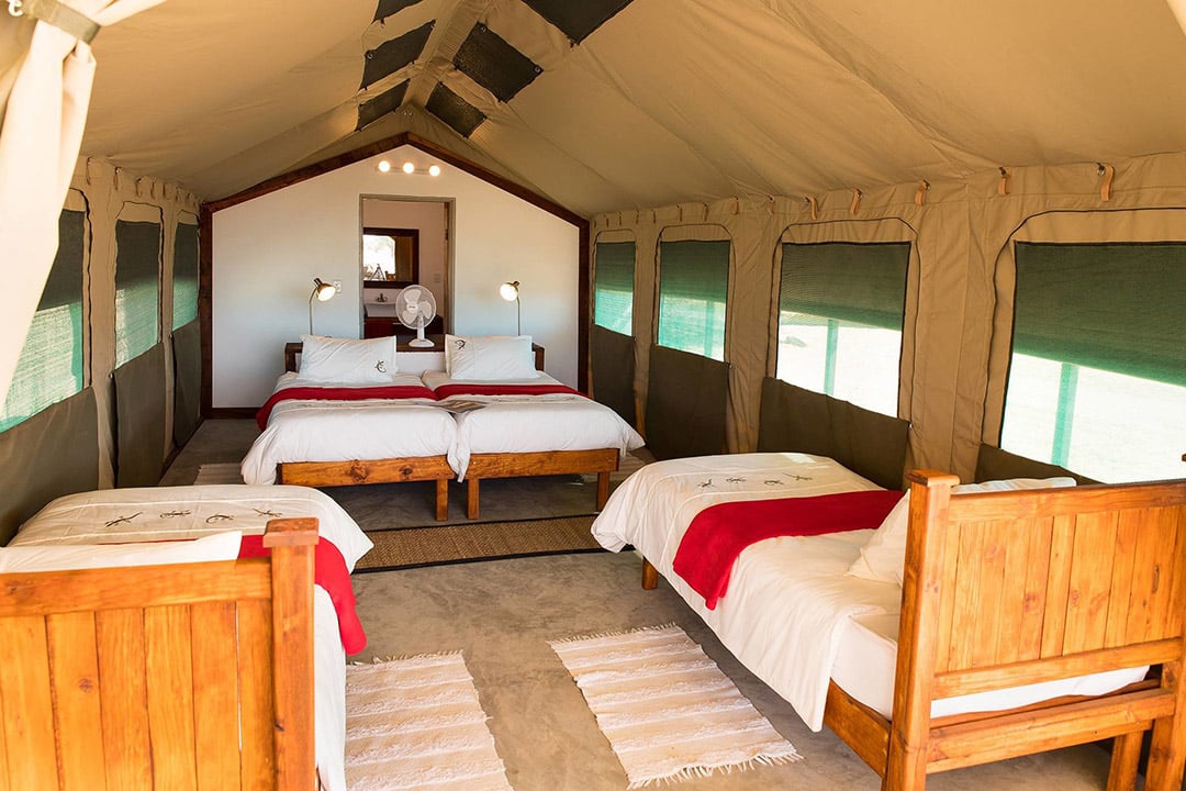 Palmwag Camping2go