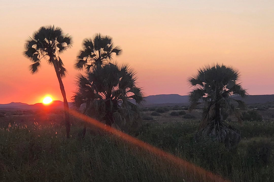 Palmwag Camping2go