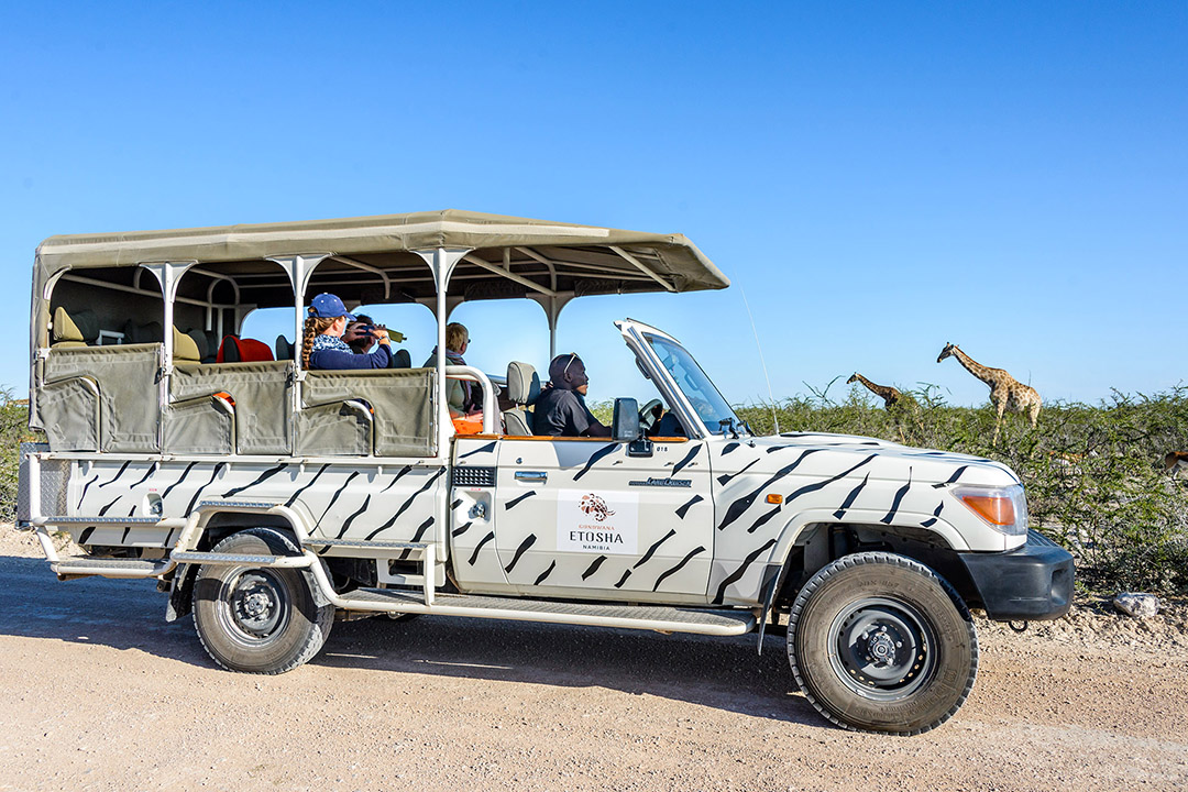 Etosha Safari Camping2go