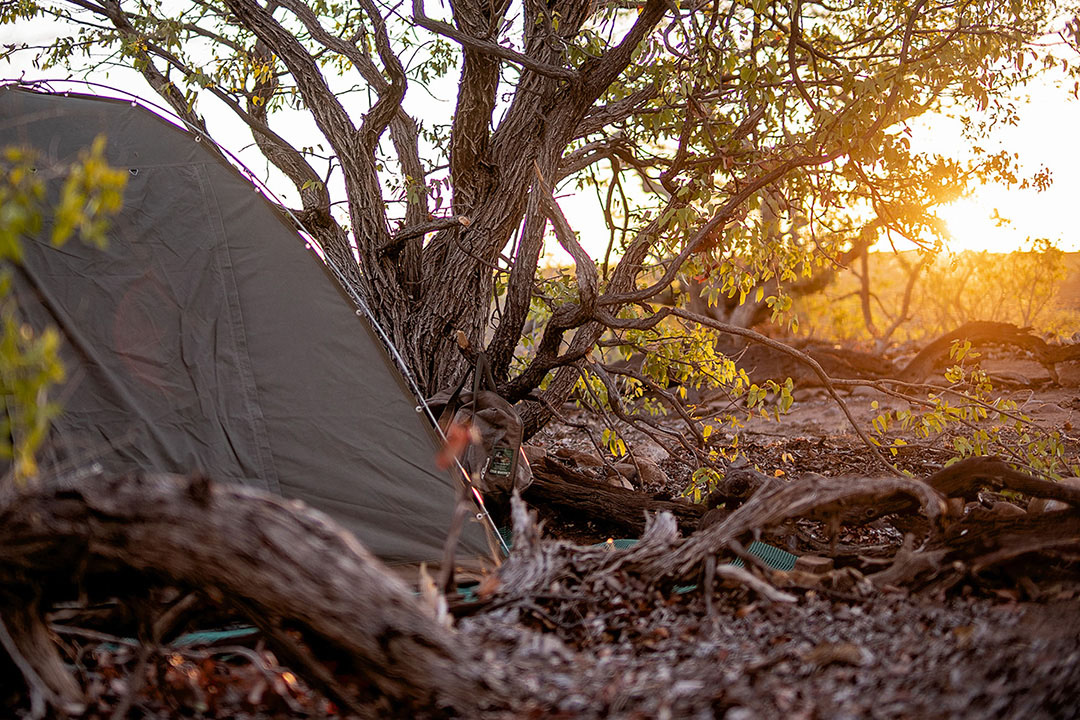 Canyon Wild Camping