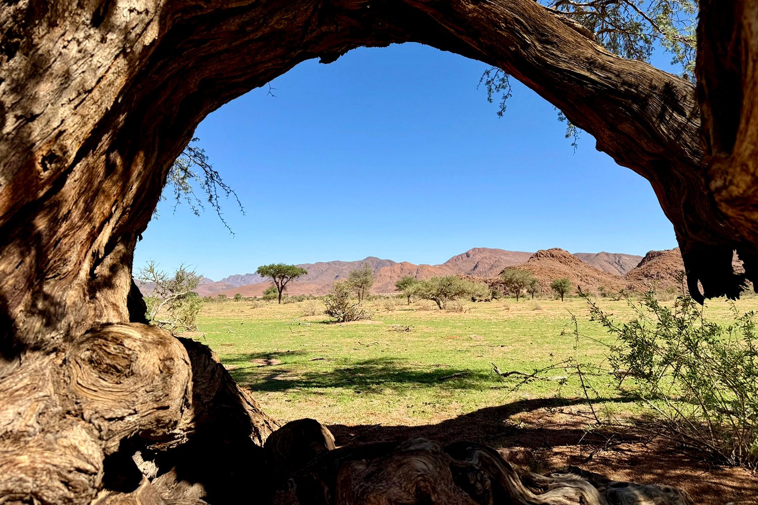 Luna Namib Collection