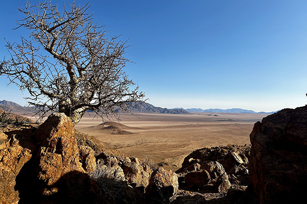 Luna Namib Collection