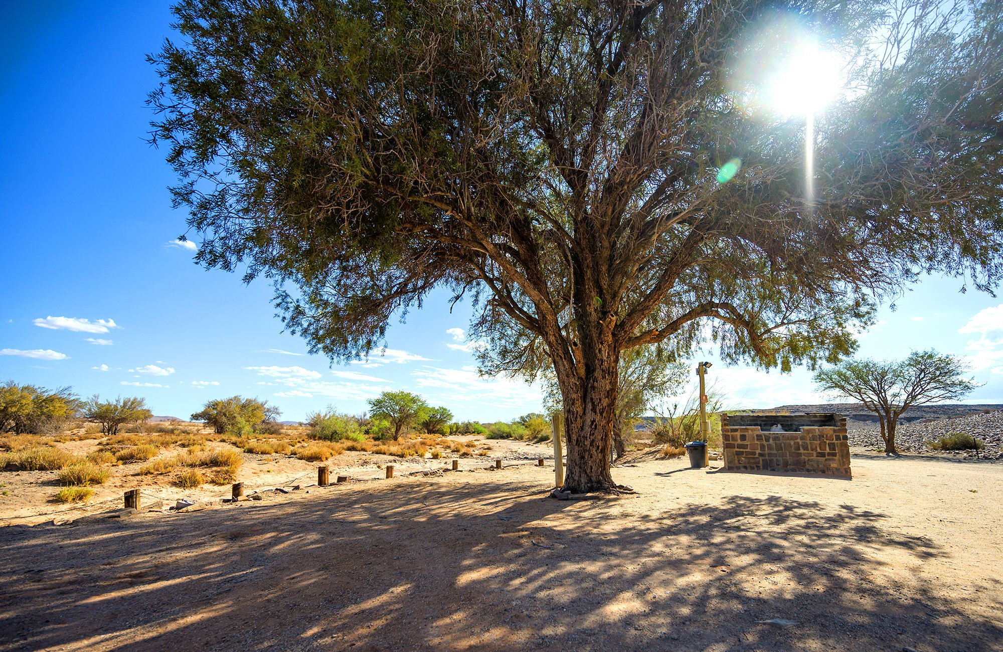 Canyon Roadhouse Campsite