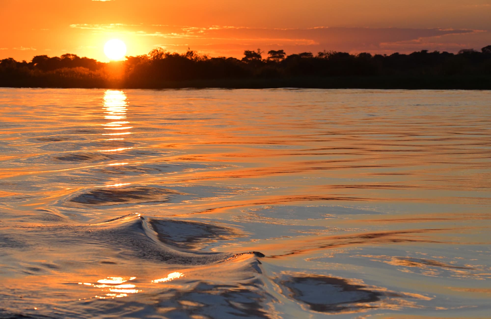 Zambezi Mubala Campsite Landscape