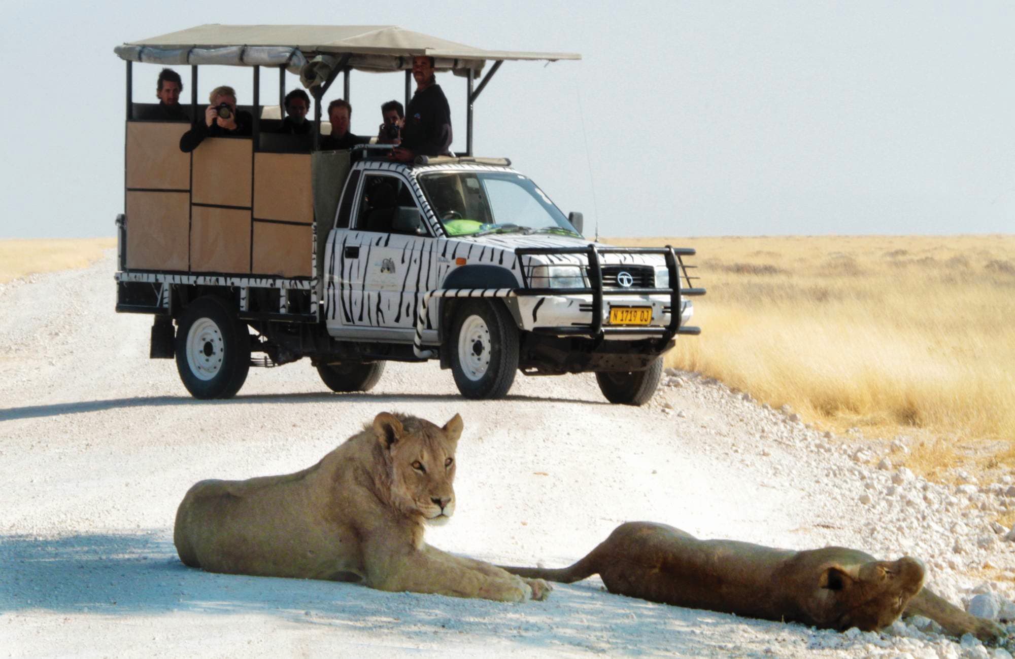 Etosha Safari Camp