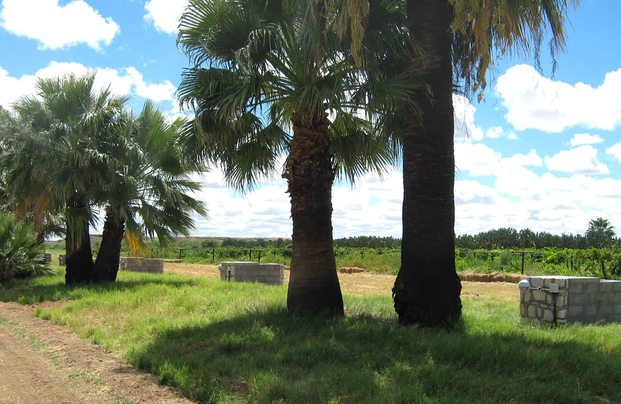 Kalahari Farmhouse Campsite