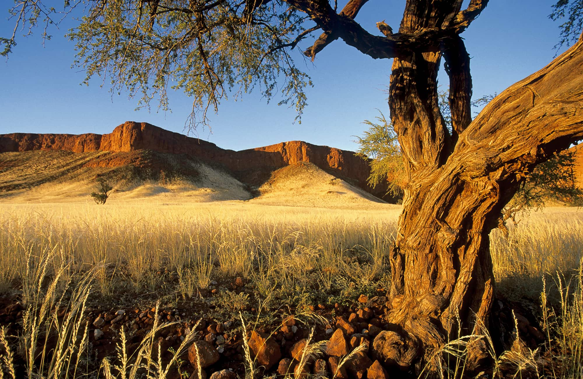 Namib Desert Campsite