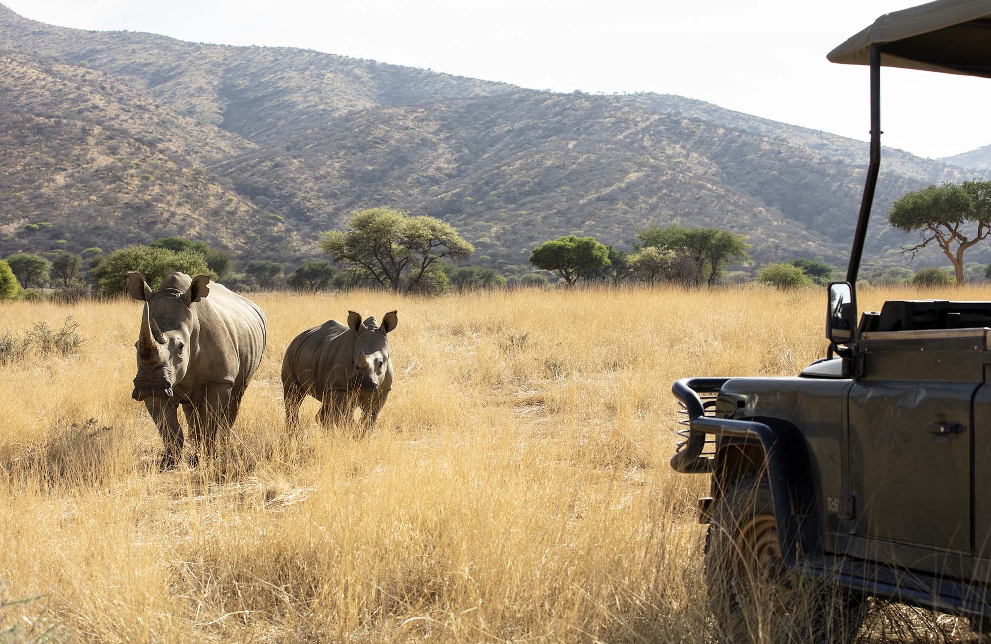 Okapuka Safari Lodge